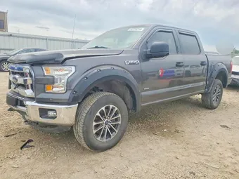 2015 Ford F-150 1FTEW1EP7FKE73701 Lot 50725216