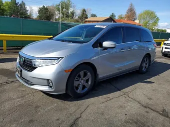 2021 Honda Odyssey 5FNRL6H55MB006577 Lot 51478726