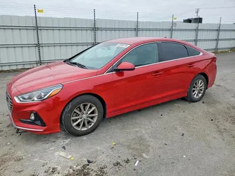 2019 Hyundai Sonata 5NPE24AF1KH766593 Lot 52096576