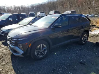 2025 Hyundai Tucson 5NMJCCDE9SH594089 Lot 46924306