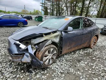 2023 Tesla Model Y 7SAYGDEE7PF854573 Lot 51712756