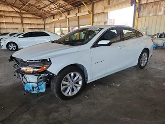 2020 Chevrolet Malibu 1G1ZD5ST6LF101246 Lot 54561006