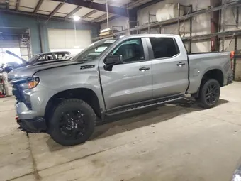 2023 Chevrolet Silverado 1500 3GCUDCEDXPG331970 Lot 60093735