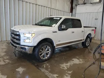 2017 Ford F-150 1FTEW1EG0HFA15137 Lot 67288395