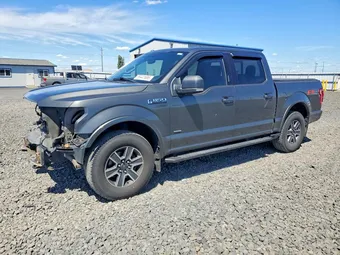 2016 Ford F-150 1FTEW1EG4GKE67761 Lot 56441686