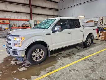 2016 Ford F-150 1FTEW1EG5GFB87484 Lot 53773846