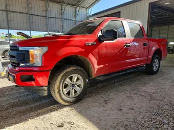 2019 Ford F-150 1FTEW1EBXKKF02610 Lot 53125046