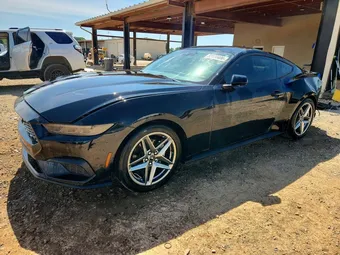2025 Ford Mustang 1FA6P8TH2S5118567 Lot 52480406