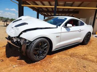 2023 Ford Mustang 1FA6P8CF8P5304605 Lot 53273086