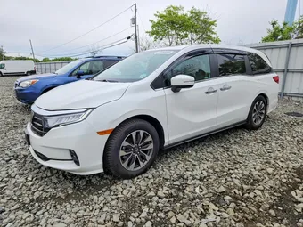 2022 Honda Odyssey 5FNRL6H76NB002136 Lot 52666646