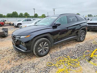 2024 Hyundai Tucson KM8JBCD14RU244979 Lot 54326196