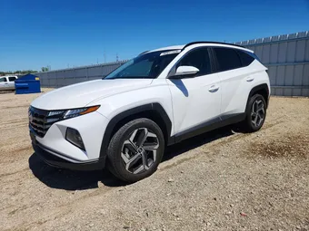 2023 Hyundai Tucson 5NMJFCAE9PH269865 Lot 50917336