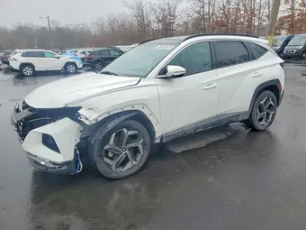 2023 Hyundai Tucson 5NMJECAE0PH203529 Lot 41905596
