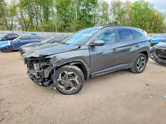 2023 Hyundai Tucson KM8JFCA12PU093243 Lot 51136346