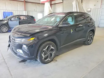 2023 Hyundai Tucson KM8JFDA2XPU114564 Lot 56227786