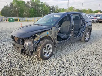 2023 Hyundai Tucson KM8JB3AE7PU184488 Lot 49562676