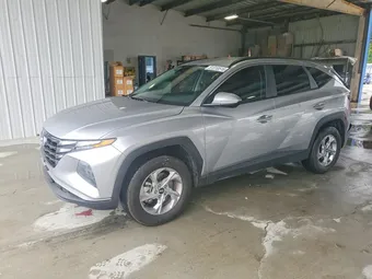 2023 Hyundai Tucson 5NMJBCAE1PH238962 Lot 51310516