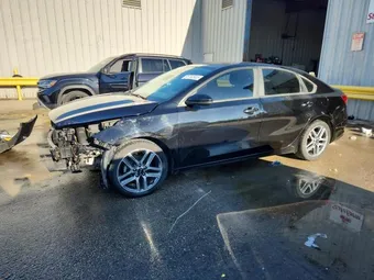 2019 Kia Forte 3KPF34AD1KE065377 Lot 92392935