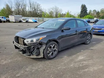 2019 Kia Forte 3KPF24AD7KE116304 Lot 52141596