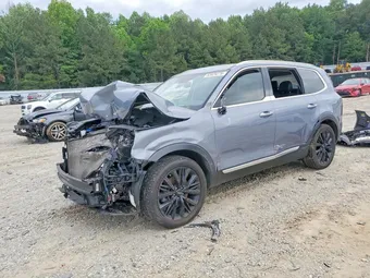 2020 Kia Telluride 5XYP5DHC6LG071448