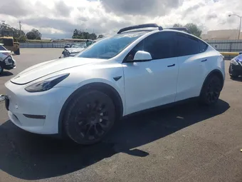 2023 Tesla Model Y 7SAYGDEE5PF847928 Lot 51061266