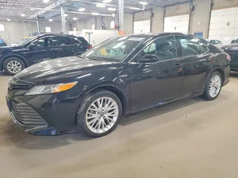 2020 Toyota Camry 4T1F31AKXLU012334 Lot 54955526