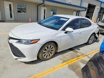 2019 Toyota Camry 4T1B11HK4KU810787 Lot 55031706