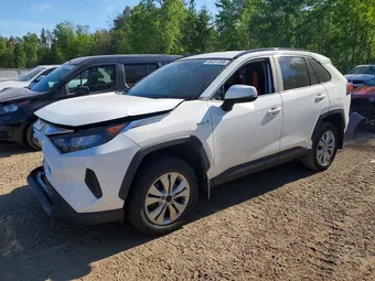 2019 Toyota RAV4 2T3BWRFV7KW003782 Lot 55351566