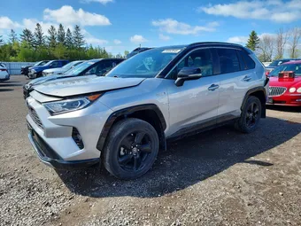 2019 Toyota RAV4 2T3RWRFV3KW046241 Lot 54082646
