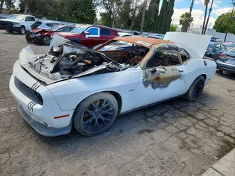 2019 Dodge Challenger 2C3CDZBT4KH556957