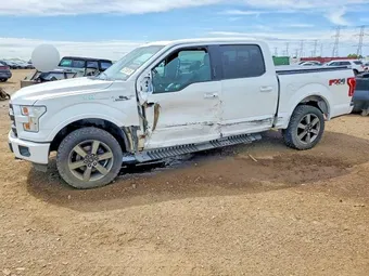2016 Ford F-150 1FTEW1EGXGFB36465 Lot 52153916