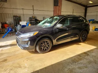 2022 Ford Escape 1FMCU0G60NUA87681 Lot 53576586