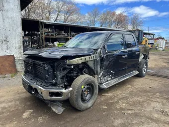 2025 Ford F-150 1FTFW3L80SKD85191 Lot 56510386