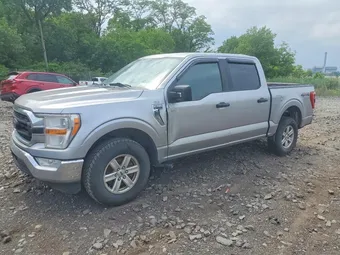 2021 Ford F-150 1FTEW1EP7MKE21028 Lot 56992656