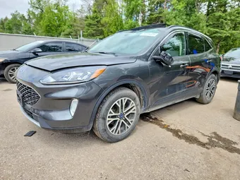 2020 Ford Escape 1FMCU9H9XLUC46202 Lot 55854006