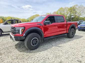 2024 Ford F-150 1FTFW1RG1RFA31024 Lot 52063246