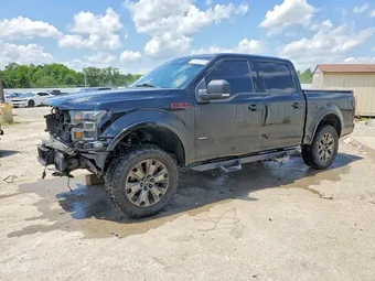 2016 Ford F-150 1FTEW1EPXGFC20821 Lot 53745316