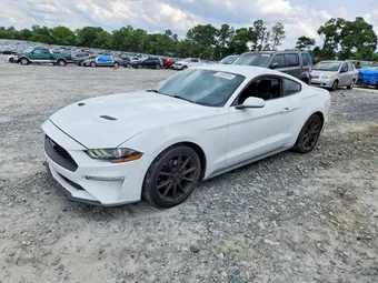2019 Ford Mustang 1FA6P8TH5K5184532 Lot 52809256