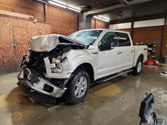 2017 Ford F-150 1FTEW1EP5HFC34109 Lot 51681336