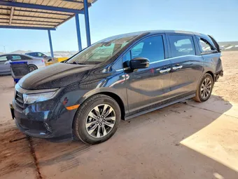 2024 Honda Odyssey 5FNRL6H6XRB017171 Lot 49993496