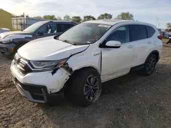 2021 Honda CR-V 7FART6H51ME009772 Lot 41822746