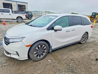 2022 Honda Odyssey 5FNRL6H71NB065662 Lot 53990146