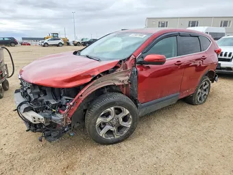 2019 Honda CR-V 2HKRW2H52KH124925 Lot 53987996