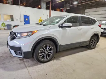 2022 Honda CR-V 2HKRW2H57NH631324 Lot 54628056