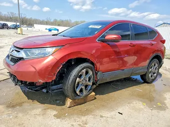 2019 Honda CR-V 2HKRW1H52KH503451 Lot 48262266
