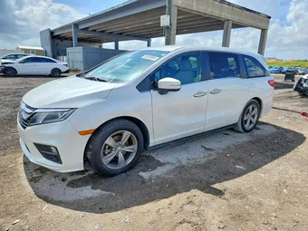 2020 Honda Odyssey 5FNRL6H53LB019813 Lot 53689866