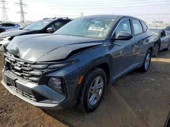 2025 Hyundai Tucson 5NMJA3DE1SH461459 Lot 76570845