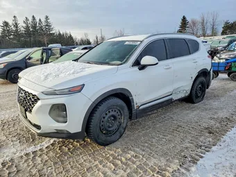 2019 Hyundai Santa Fe 5NMS2CAD0KH098410 Lot 72828865