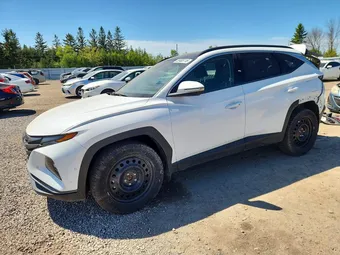 2022 Hyundai Tucson KM8JCCA18NU024918 Lot 53405116