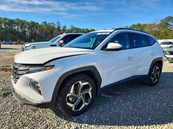 2023 Hyundai Tucson 5NMJF3AE6PH250769 Lot 77825505